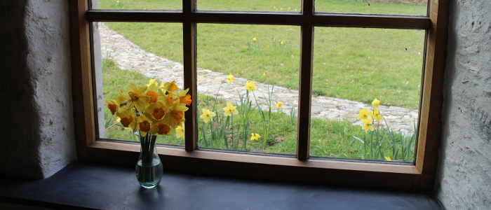 Kitchen - Daffodils